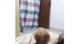 A briga pela HERANÇA????????