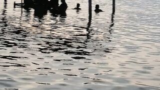 Karli jheel videos