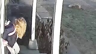 Funny cat