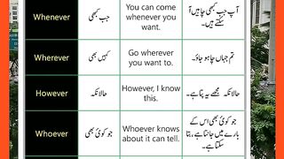 Pronoun