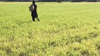 Farming