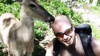 SCARY_and_FUNNY_Animals_Encounters watch Full Vedio And subscribe to my channel For more Vedios