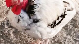 Taking sun kiss