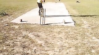 Cricket
