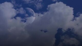 What If the Moon Fell to Earth