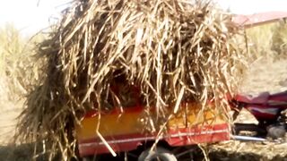 Loader Loading