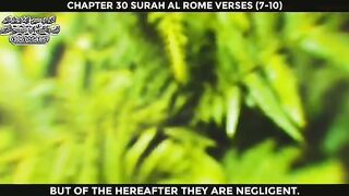 QuranUrduTranslation