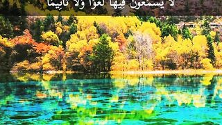 Al Quran tilawat|Beautiful Quran tilawat