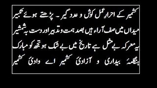 Raees Amrohvi