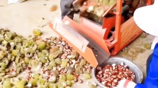 Machinery Facts 4 #shorts #facts