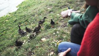Nutare