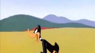 Rabbit Season, Duck Season trilogy..