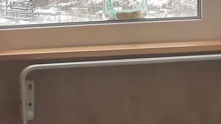 Синичкин день!