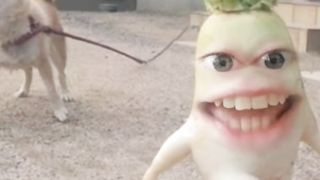 Сельдерей поёт песенку #смешныевидео #shorts #comeon