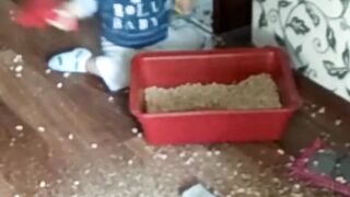 Ребенок шкодничает ???????? #дети #смешныедети