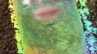 Радужная картошка поёт песенку #смешныевидео #comeon