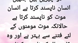 Mishkat5251
