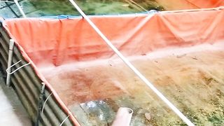 Ikan lele diberi pakan SAYURAN berpengaruh gak terhadap pertumbuhan❓
