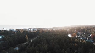 Wild wonderland