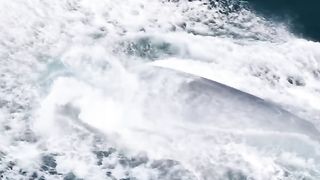 The Blue Whale