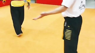 Shaolin Art