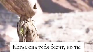 Когда она тебя бесит