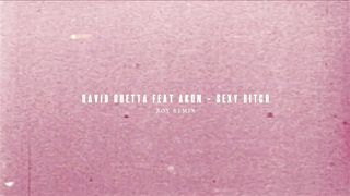 David Guetta Feat Akon -  Bitch