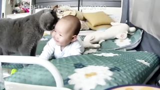 When you are my one and only special friend????❤️????Cute Cats and Human