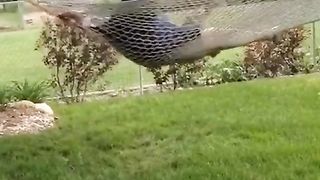 #funny