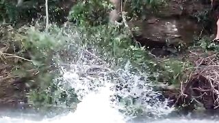 #funny