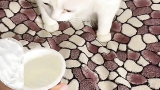#funny