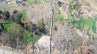 Nice weather