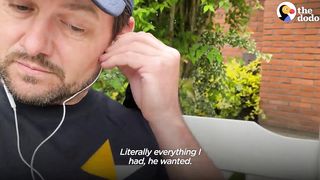 Wild Crow Has Coffee With His Rescuer Every Day | The Dodo Wild Hearts