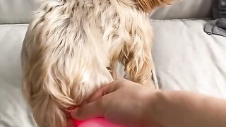 #funny