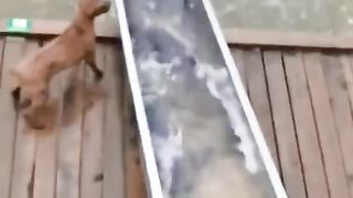 #funny