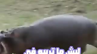 ليش متربية فى البيت