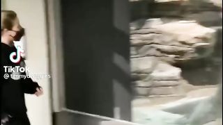 Random TikToks I have saved