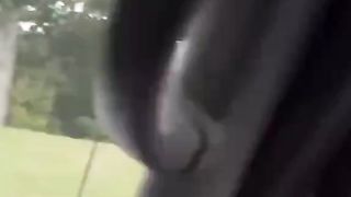 #funny