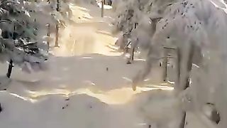 Algerie-Chréaالجزائر _الشريعة