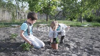 Early Childhood Development: Little Boys Embrace Nature as They Plant Seedlings in a Pot with Enthusiasm and Care
