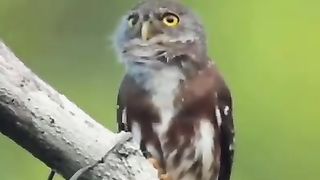 GOD'S BEAUTIFUL CREATION