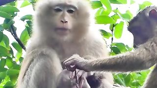 FUNNIEST ANIMALS