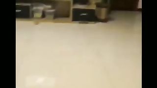 FUNNIEST ANIMALS COMEDY