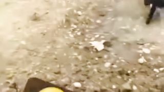 Guaranteed laughter and embarrassing situations. The best videos of killer laughter and exciting situations