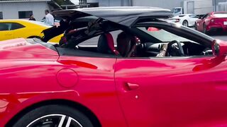 May everybody get this super car
