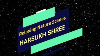 Relaxing Nature scenes || Relaxing forest nature || Beautiful nature || Amazing nature Scenery