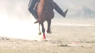 Horse ???? race