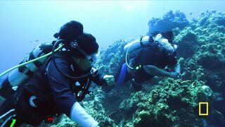 Experiencing the current of the coral reef Never say Never with Jeff jenkins