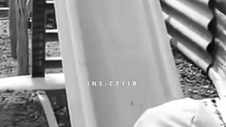 dog ???? Funny and happy