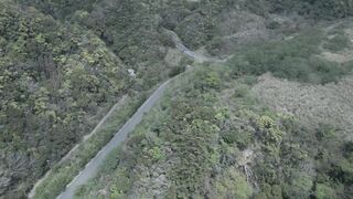 Secrets of Aokigahara Forest